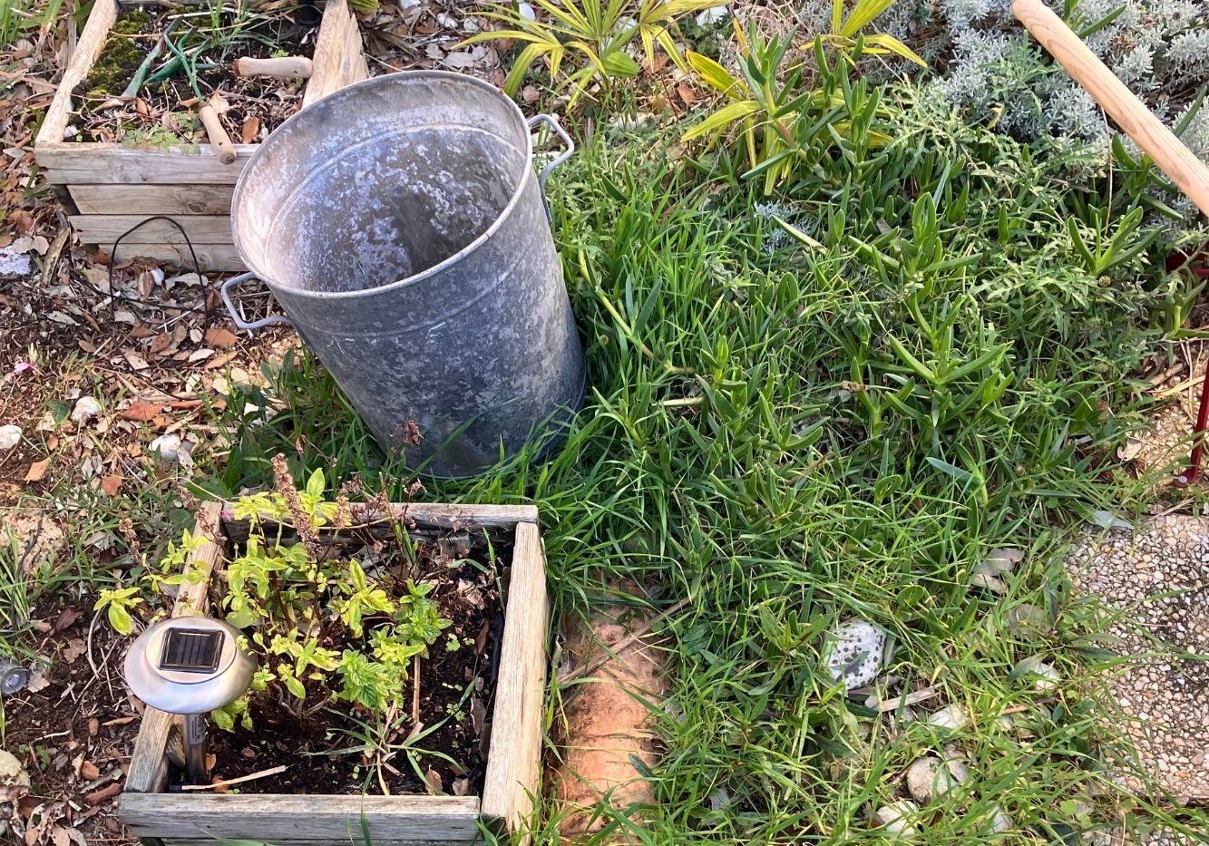 Jardinière en friche