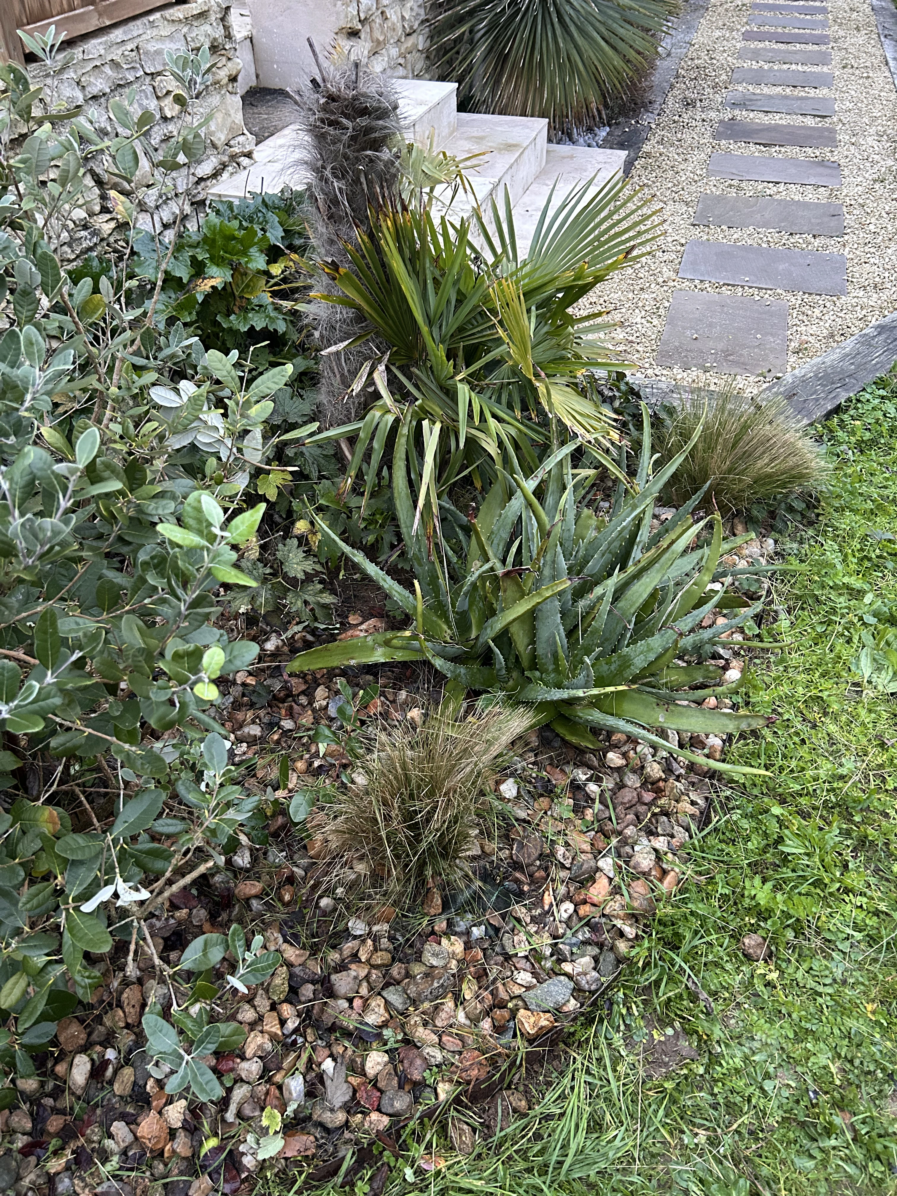 Nettoyage massif jardinerie rochelaise