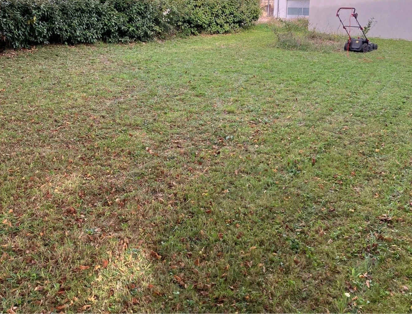 Après tonte professionnel jardin